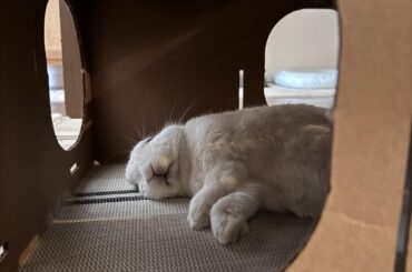 Ghost passed out from doing literally nothing