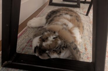 Metal object? Check.