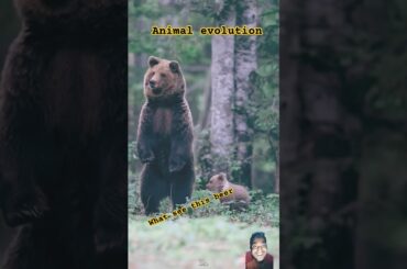 Animal evolution little to big. #animals #animaltransformation #cute #bunny #rabbit #animalsize