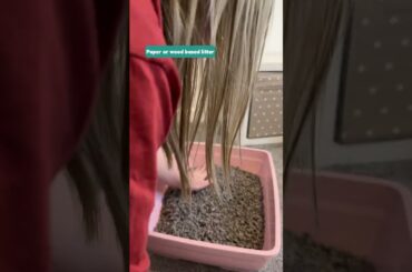 Bunny Litter Training