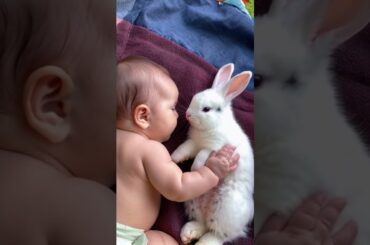 #Baby's #Bestfriend #rabbit