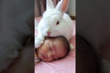 #intelligent #Rabbit Patting Sleeping #Baby