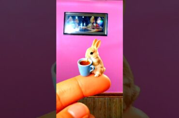 Rabbit Animals videos | Cute Baby Rabbit | Try not to Lough | Rabbit videos Compilation #shorts