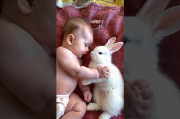 #Baby and the #Cute #Bunny