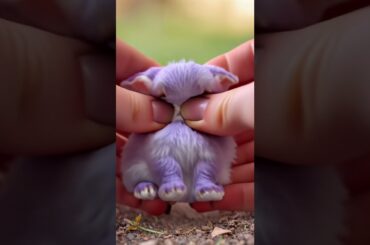 Baby Bunny Mochi Mochi  #cute #funny #comedymovies