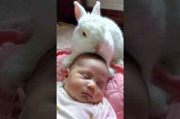Little Human come play with me #Bunny #baby #love