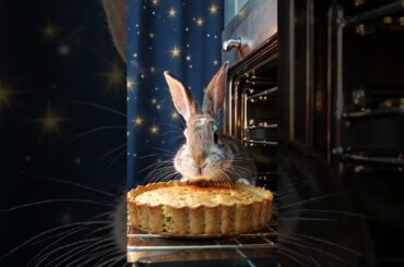 bunny is in the kitchen #cute#bunny #rabbit