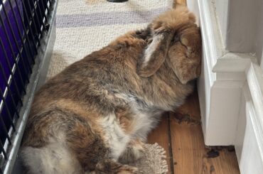 That does not look comfortable