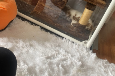 Someone’s in a Mood part 2