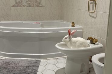 Chalky staying clean 😂