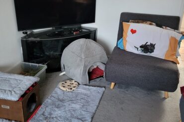 One foot in, one foot out