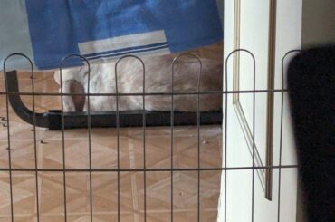 yep this must be confortable to rest the back