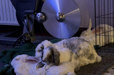 Granite being Granite 😂