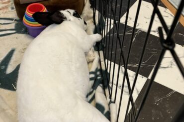 You’ve heard of cage face, now get ready for cage feet