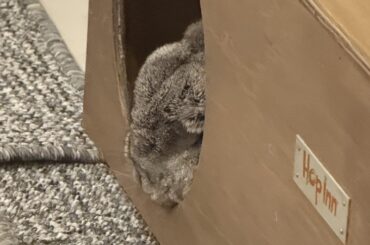 Buncomfortable pillow