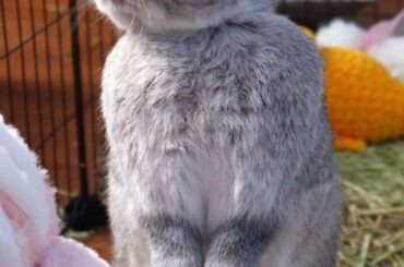 How Can You Say No To This Face?