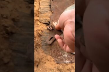 #cute #rabbit #pets #funny #animals #rabbitbreeds #pet #mycuterabbit #petrabbit #animal