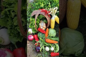 Bunny’s Buffet: Exploring a Rainbow of Garden Treats. #rabbit #rabbitbreeds #cute #bunny #animals
