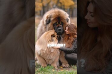 Which Adorable Pet Would You Keep Forever? #cutepet