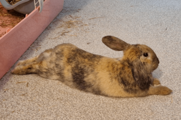 Stylish, wonderful just beautiful noodle ❤️👌🏻