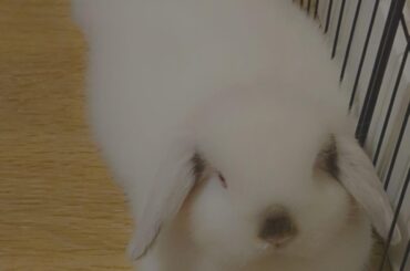 The superman pose 😆