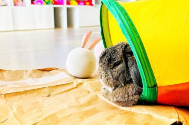 Tunnel Inspector Bun