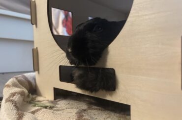 He swears he’s comfy…