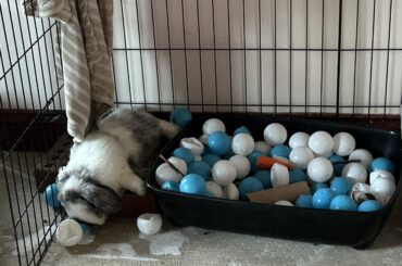 Can’t fit on bricks but will do