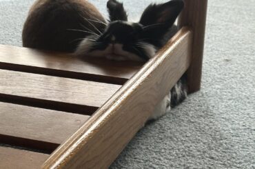 Perfect spot for my neck ☺️