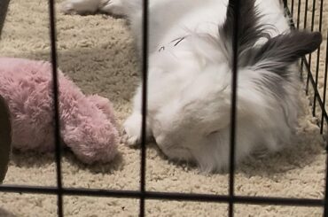 Sleeping with his baby