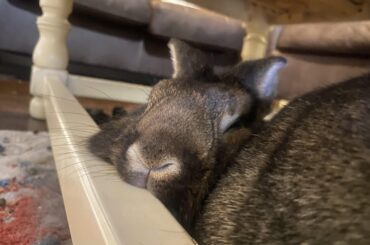 I was told this belongs here