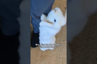 It's my anxiety #trending #shorts