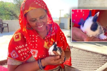 IN LOVE WITH CUTE BABY BUNNY