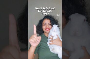Top 3 safe food for rabbit #dietforrabbit #rabbitdiet #rabbitcare #pet #bunny #rabbithealth #petcare
