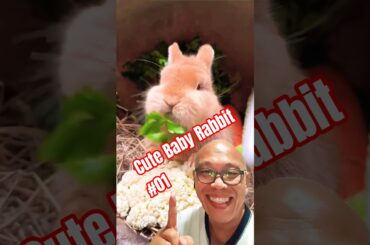 Cutest Baby Bunny Ever! My Reaction to Adorable Rabbit Eating Veggies #cuteanimals #shorts