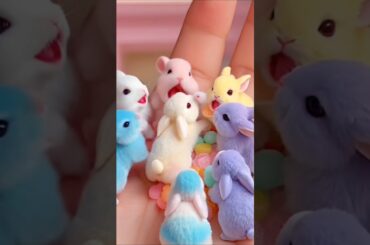 Cute little rabbit  #rabbit #cute #bunny #pets #animals