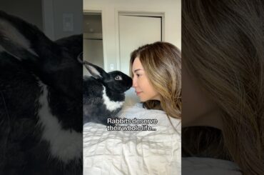 Don’t get a rabbit if you can’t do THIS