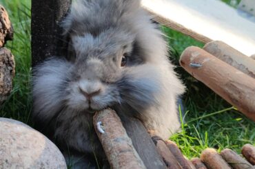 Surely there's a more comfortable spot somewhere in the entire garden