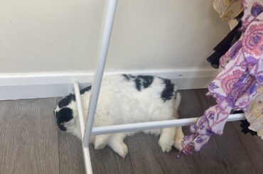 how did she even flop under that