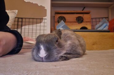 hi baby he's an angel in my eyes