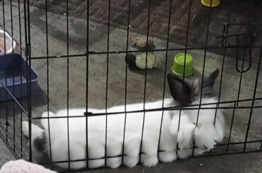 That CANNOT be comfortable