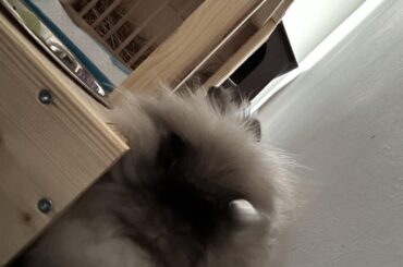 I think he's trying to show me he's not fat