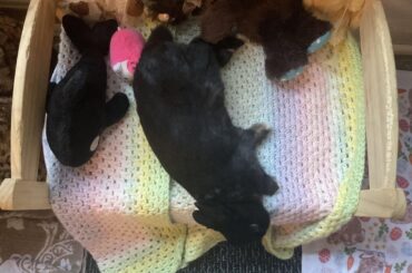 He slept like this for a good half hour…