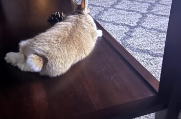 Peanuts Coffee Table