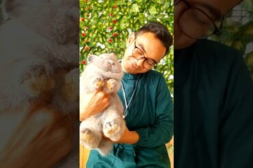 Supernatural Ariana Grande Trend with Super Cute Rabbit #kimseonho #trend #rabbits #shorts