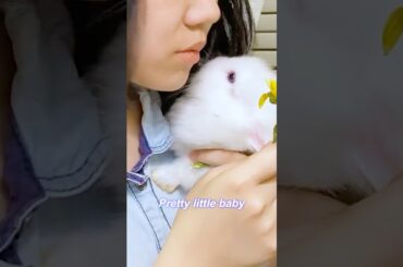 Pretty little baby #baby bunny  #bunny flip # bunny eat flower # cute bunny #bunny eating