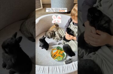 A family discovered a nest of baby rabbits in their garden and then... #rabbit #babyanimal #animals
