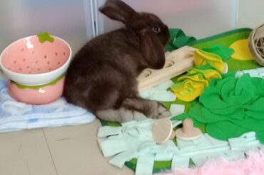 I suppose that could be comfy?