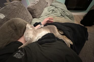 Ecuniculi unlocked a whole new level of buncomfortable positions