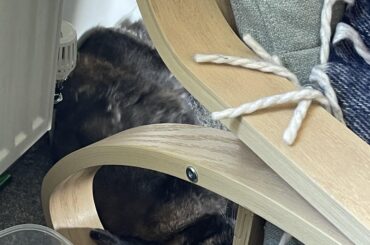 The ear must be right under the rocking chair, otherwise the flop doesn’t hit the spot